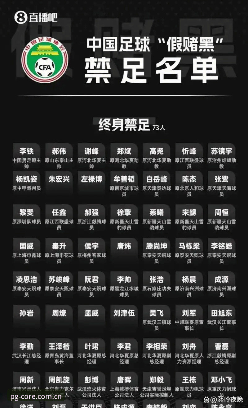 掌握足坛禁足名单深度解读的实用技巧